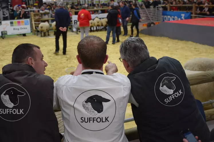 Les concours sont des lieux de rencontres éleveurs sélectionneurs passionnés. © D. Hardy
