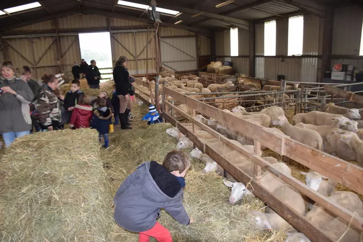 A travers les visites de la ferme et les séjours au gîte, Isabelle montre le quotidien des éleveurs et le travail qui est fait. © D. Hardy