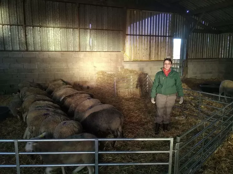 La méthode de fonctionnement de l’atelier porc apportera de la rigueur à la conduite des ovins. © F. Dudognon