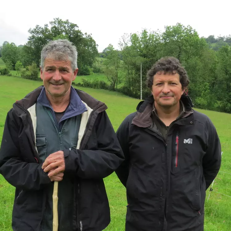 Yves et Didier Esturonne : "Nous avons réduit le maïs grain et introduit du soja cultivé localement". © A. Dazet