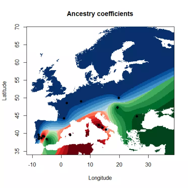 La carte des coefficients d'ascendance génétique montre une séparation entre l’Europe du Nord et les régions méditerranéennes.  © SRR