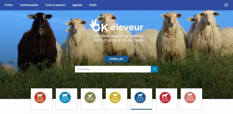 OK éleveur simplifie l’accès aux ressources techniques pour les éleveurs de ruminants.