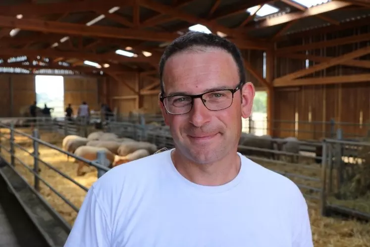 Stéphane Comeau, éleveur sélectionneur de Mouton charollais en Saône-et-Loire © I. Heeren
