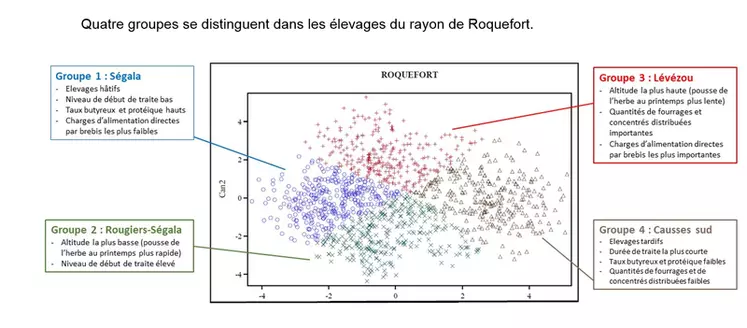 Quatre groupes se distinguent dans les élevages du rayon de Roquefort. © Idele