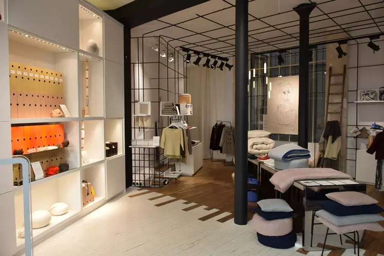 La boutique Oh my laine ! a montré aux designers et créateurs parisiens les marques qui valorisent la laine française. © D. Hardy