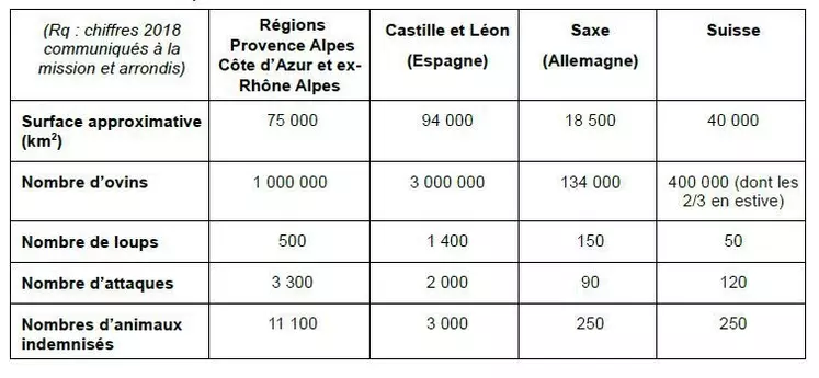 Malgré une population de "seulement" 500 loups (contre 1 200 en Castille et Leon), la France enregistre un nombre d'attaques bien plus élevé que chez ses voisins. © CGAAER
