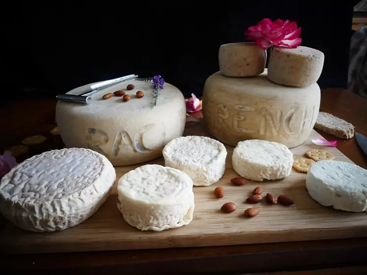 Plateau avec les sept recettes de fromages imaginées par le couple. © M. Jan et T. Quélen