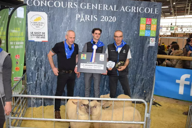 La grande épicerie de Paris a déboursé 2 750 euros pour acquérir ces trois agneaux de boucherie.  © D. Hardy
