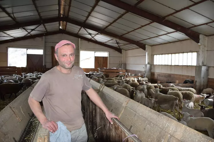 Cédric Breissand, éleveur d’ovins et de bovins dans les Alpes-de-Haute-Provence © D. Hardy