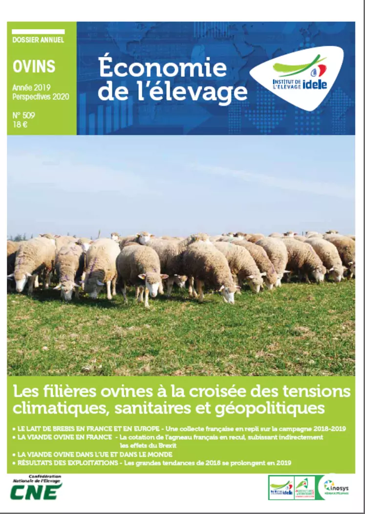Le dossier annuel ovin retrace l'année économique des filières lait et viande 2019 et donne des perspectives pour 2020. © GEB
