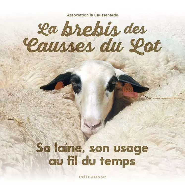 La brebis des Causses du Lot, sa laine, son usage au fil du temps © Edicausse