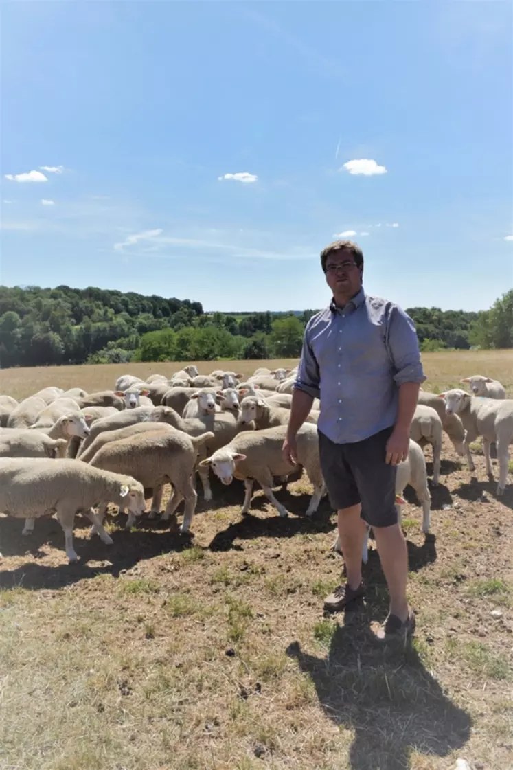 Georges-André est parti d’un lot de 110 brebis en 2014 pour aujourd’hui s’occuper d’un troupeau de 500 têtes. © A. Peucelle