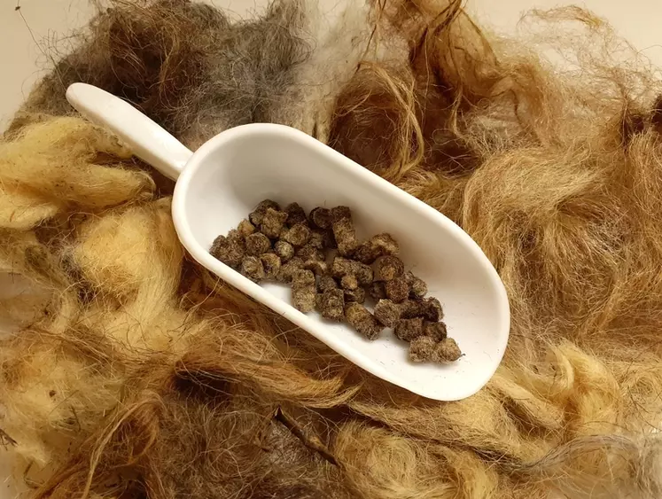 Les granulés de laine pourraient être utilisés comme fertilisants agricoles, grâce à la teneur en azote intéressante de cette matière première. © DR