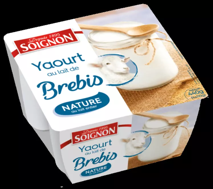 Les yaourts de brebis sont surtout consommés pas des seniors, mais Soignon souhaite développer la consommation familiale et a pour cela lancé un yaourt mixé à la fraise. © Soignon