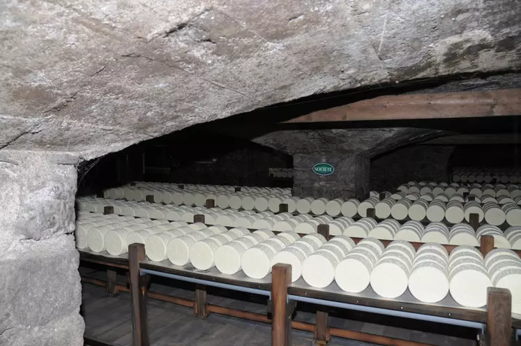 C'est dans l'atmosphère sombre et saturée d’humidité des caves de Roquefort-sur-Soulzon que les pains de fromage vont s'affiner et devenir le Roquefort AOP. © A. Villette