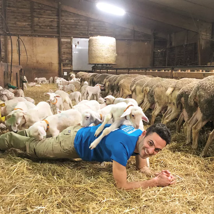 Maël Alric réussit à joindre ses deux passions : l’élevage de brebis et le sport de haut niveau. © La Cazotte