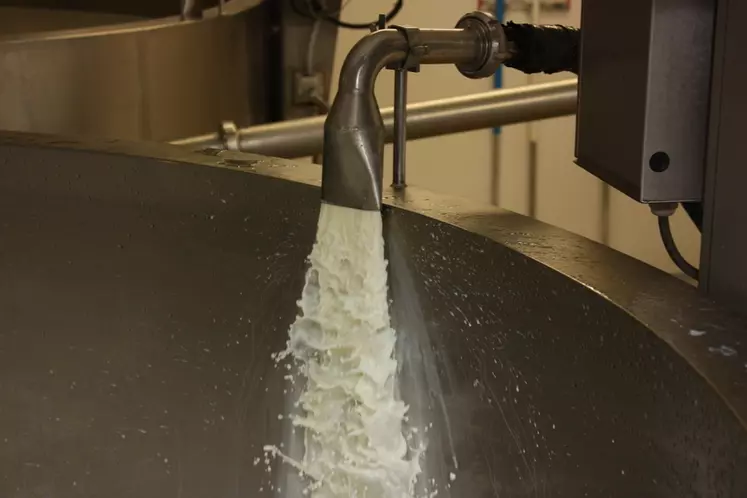 La composition du lait varie en fonction de la race de la brebis, de son potentiel génétique, de son alimentation, de la saison ou du stade de lactation… © D. Hardy