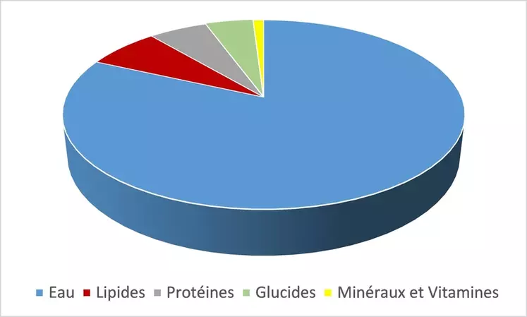 Composition moyenne du lait de brebis © Idele