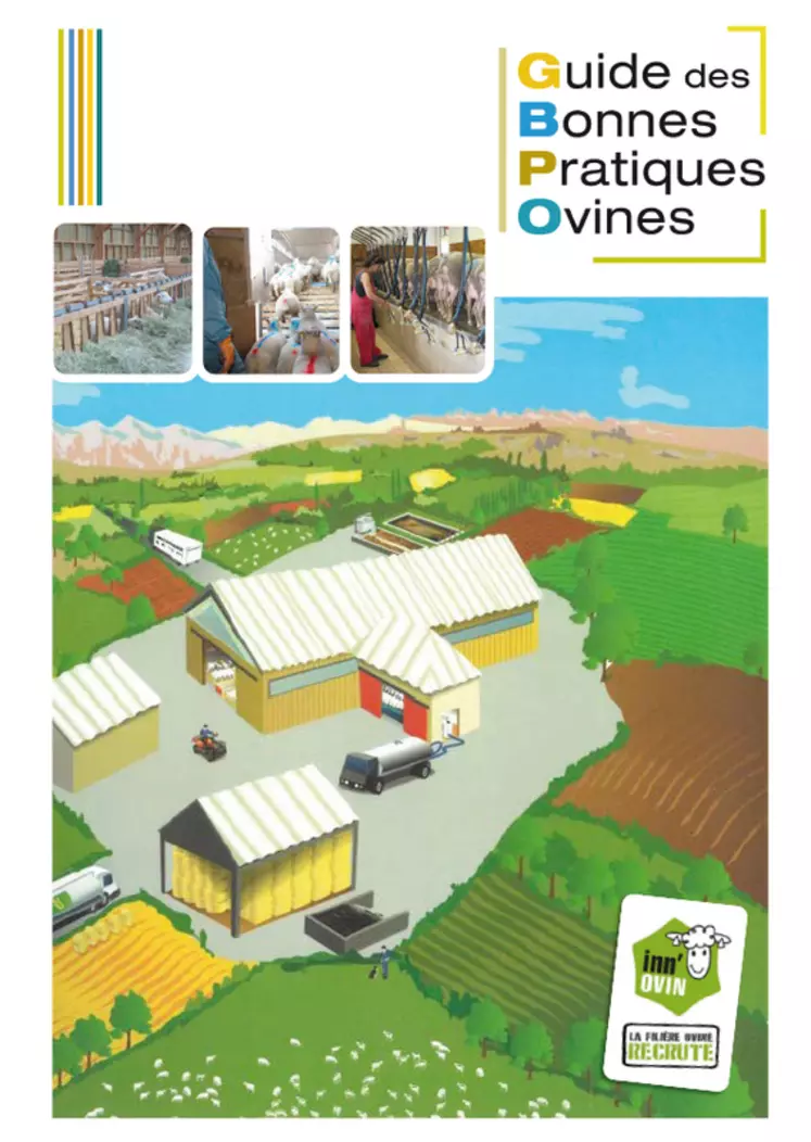 Le Guide des bonnes pratiques ovines s'adresse aux éleveurs allaitants et laitiers. © Inn'Ovin