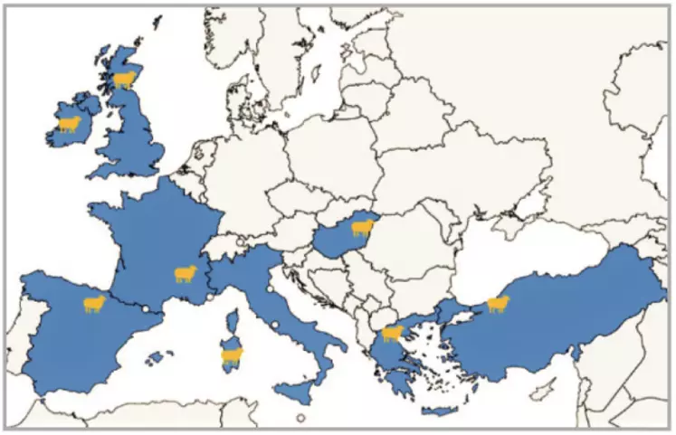 Les pays partenaires d'EuroSheep sont la France, l’Espagne, l’Italie, la Hongrie, la Grèce, la Turquie, le Royaume-Uni et l’Irlande. © EuroSheep