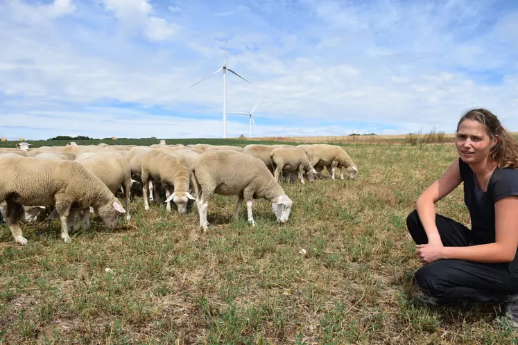 Cindy Simon, 25 ans, est à la tête d’une exploitation de polyculture élevage de 139 hectares. © A. Peucelle