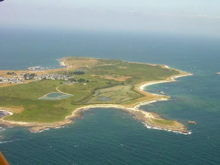 L'île ne  fait guère plus de deux kilomètres carrés et le troupeau de Samuel en  valorise une trentaine d'hectares.  © Toubabmaster