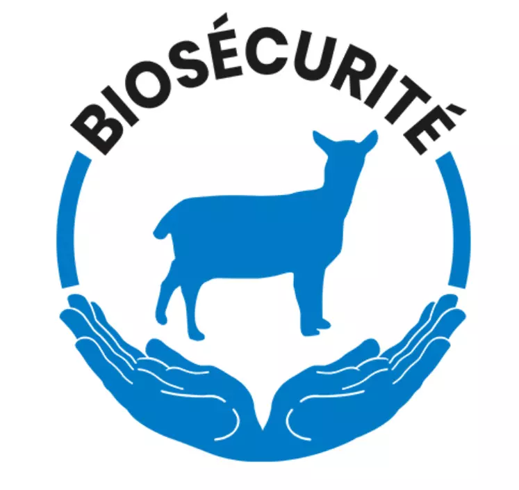 GDS FRance propose une grille pour connaître le niveau de biosécurité de son élevage ovin. © GDS France