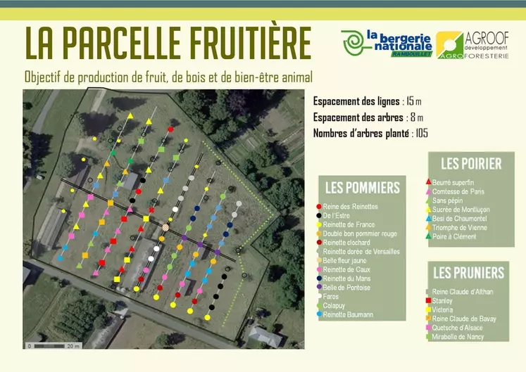 Plan des plantations de la parcelle fruitière © BNR