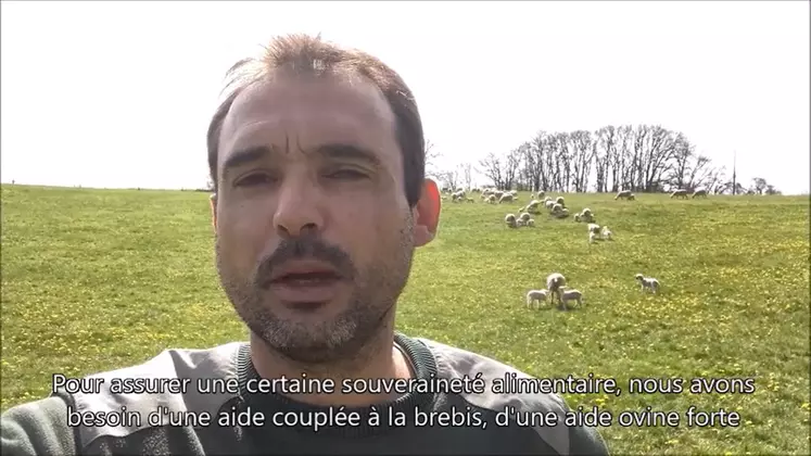 Dans les vidéos, les éleveurs expliquent les atouts de l'élevage ovin pour nos territoires et l'importance de l'aide ovine pour les éleveurs de brebis. © FNO