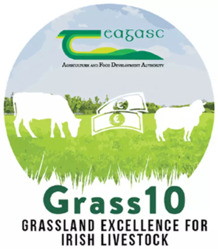 Le programme Grass 10 cherche à valoriser au maximum la pousse de l'herbe irlandaise. © Teagasc