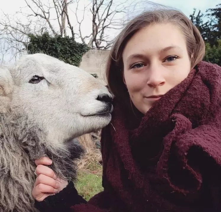 Marie HARLET, éleveuse de moutons dans l’Oise et animatrice de la page Instagram et Youtube Addicted to Sheep.