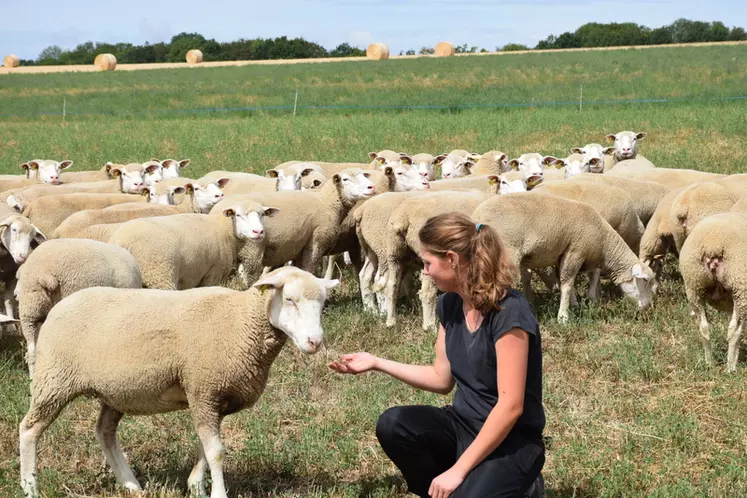 Selon leur profil, les éleveurs ovins n'ont pas la même approche du métier : certains chercheront plus l'innovation et l'investissement tandis que d'autres miseront sur la relation homme-animal ou la qualité de vie.