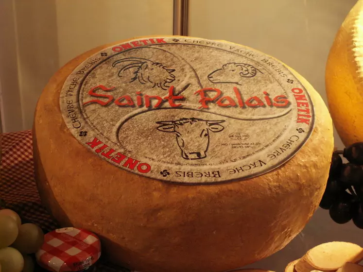 La fromagerie basque Onetik a raflé 9 médailles lors des World Cheese Awards 2021.