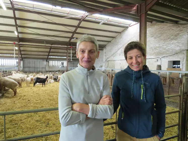 Marie-Hélène Larramendy et Marion Chomel, associées du gaec Larramend, ont accueilli sur leur exploitation les assises ovines et ont témoigné de leurs pratiques.