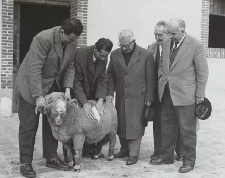 Les archives montrent la place de la bergerie en politique avec ici la visite de la FNO dans les années 50.