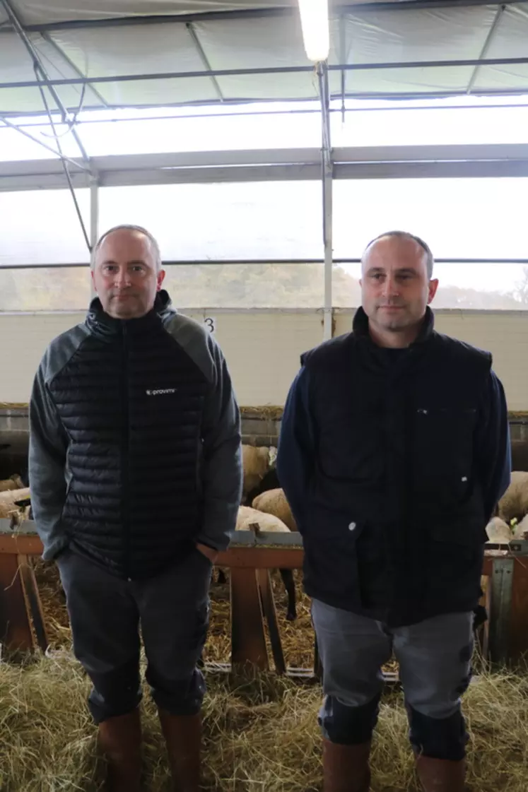 Eric et David Rouillère, frères et associés du gaec Pontron, ont investi pour limiter la pénibilité du travail et améliorer le bien-être animal.