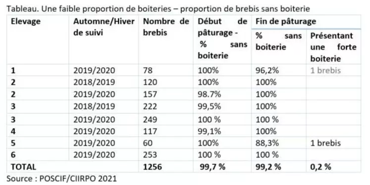 Malgré la réputation des couverts végétaux pourvoyeurs de boiteries, les brebis étudiées ne sont pas ou très peu boîteuses.Source : Poscif/Ciirpo 2021