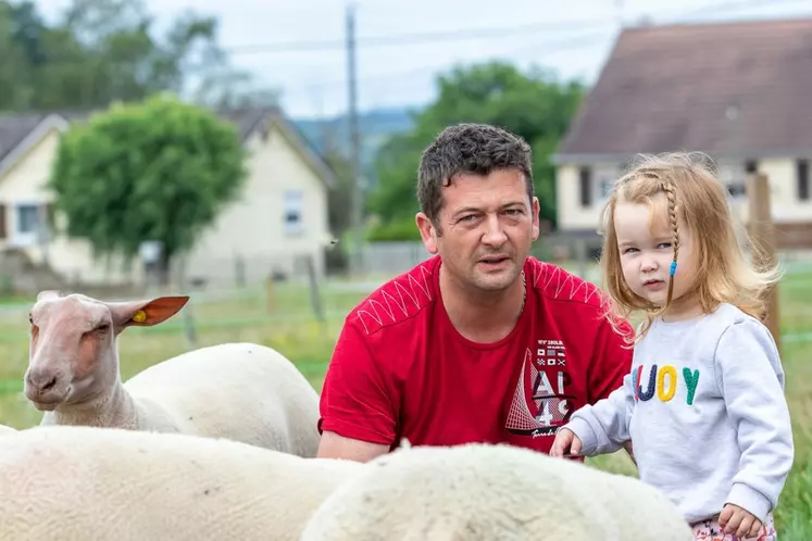 Sébastien Jeannin, éleveur sélectionneur en mouton Charollais à Souhey (Côte-d'Or)