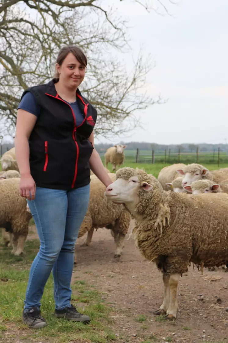 Angéline Pierra a travaillé six mois dans un élevage ovin avant de s'installer, une expérience indispensable pour voir d'autres façons de travailler.