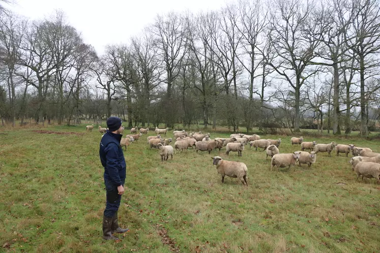 Pierre Crouigneau, double-actif, privilégie la conduite de son troupeau d'ovins aux travaux des champs, qu'il délègue à une ETA.