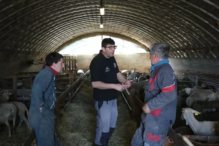 Faycel Boureghda, ramasseur d’agneaux pour une coopérative