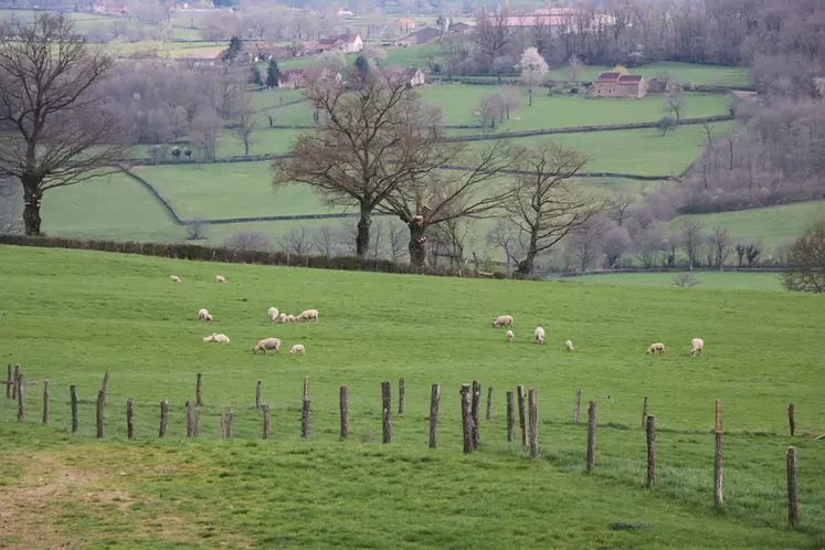 Les parcelles morcelées typiques de la Bourgogne demandent une gestion de l'herbe précise qui peut s'avérer chronophage.
