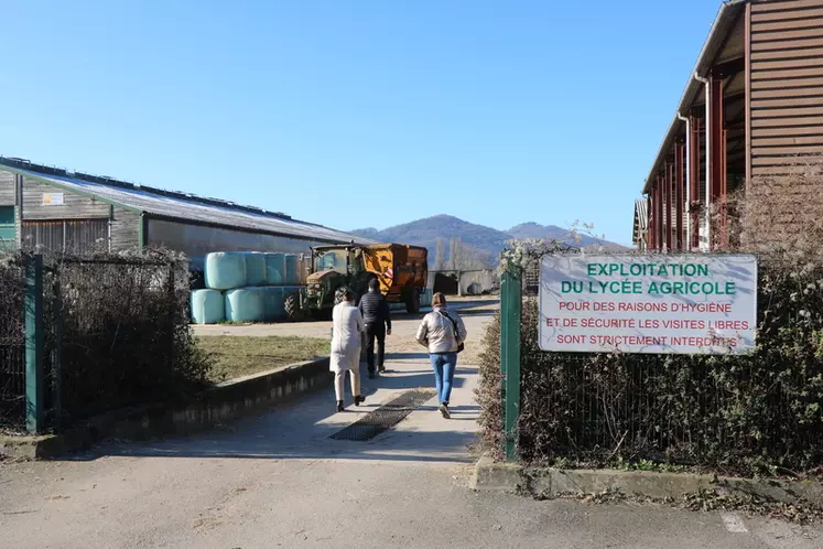 la ferme du lycée agricole de La Cazotte accueille toute l'année des groupes d'étudiants qui viennent apprendre et parfaire les manipulations des brebis.