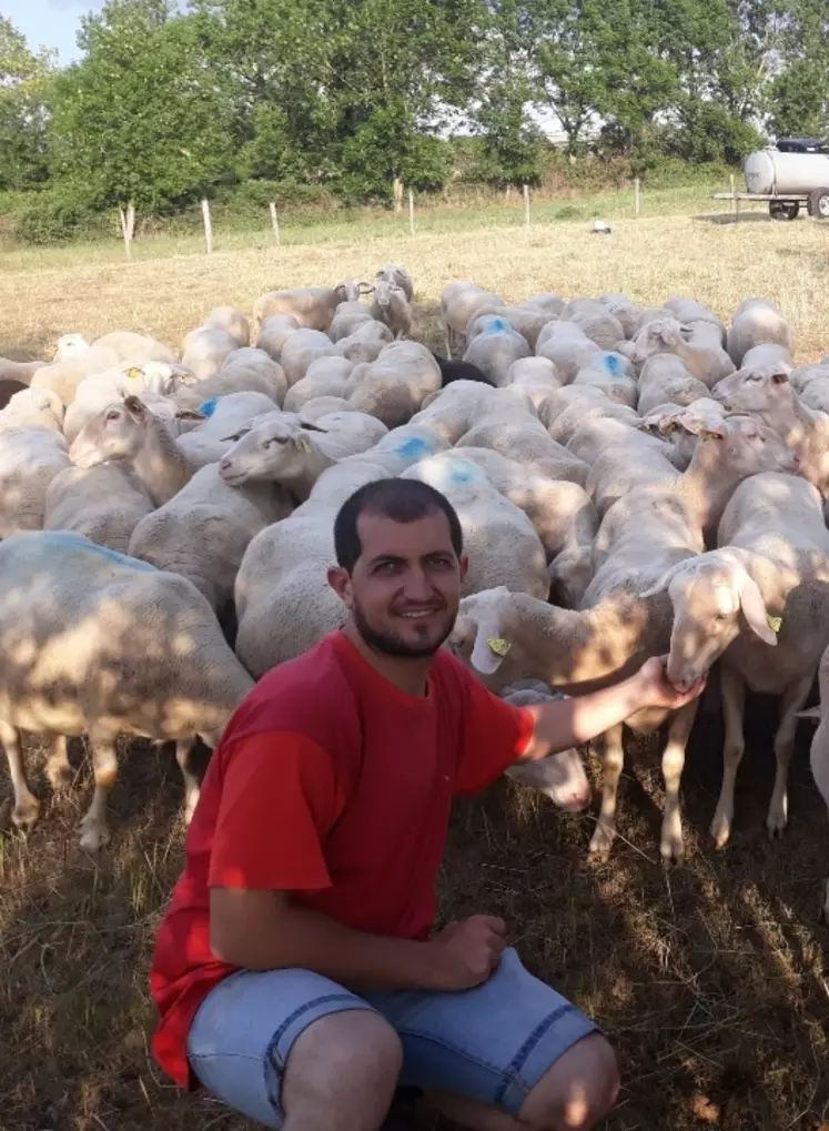 Anthony Aurelle, éleveur de 390 brebis allaitantes en Haute-Loire, cherche des solutions pour pallier à son manque de surface de pâturage.