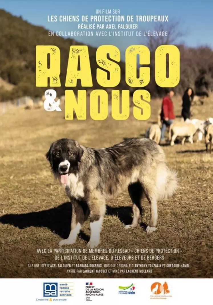 Rasco & nous, réalisé par Axel Falguier, raconte l’arrivée sur une ferme de Rasco, un jeune patou.