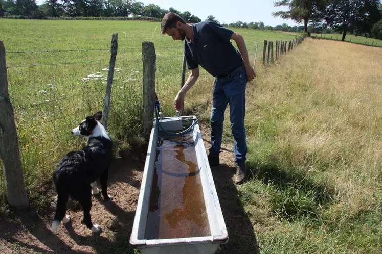 Les abreuvoirs automatiques raccordés à une source servent à étancher la soif des moutons.