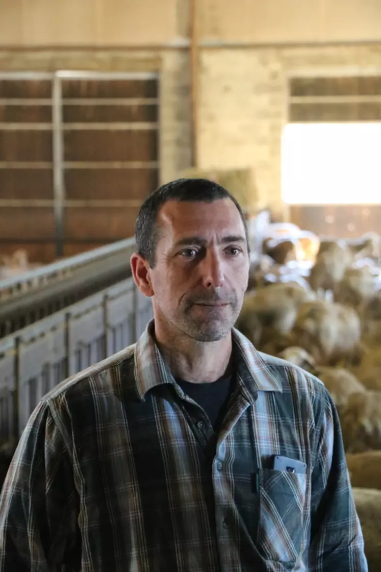 Laurent Fabry, éleveur de 250 brebis Lacaune en sélection dans l'Aveyron : "ça me fait plaisir de savoir que mes agnelles apportent de la bonne génétique dans d'autres élevages."