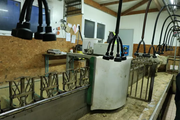 En système laitier, un DAC permet de séparer virtuellement les brebis en 2 à 4 lots selon leur production laitière.