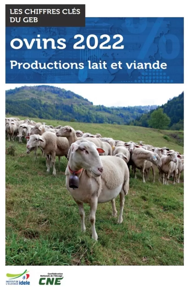 Avec 34 541 élevages ovins, la France a un taux d'auto-approvisionnement de 54 %.