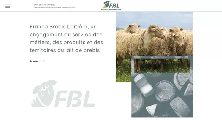 France Brebis laitière se dote d'un site internet.